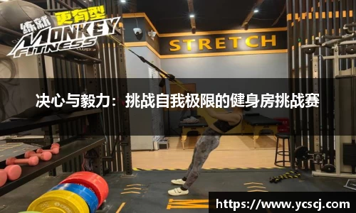 DB视讯真人
